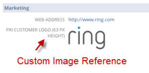 How To Selectively Download NetSuite Cabinet Files