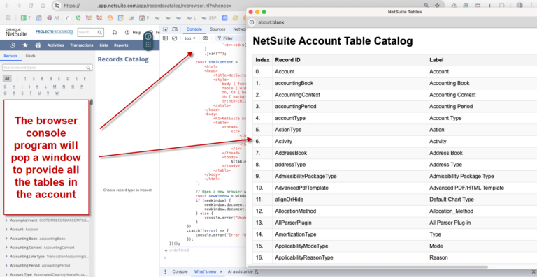 Gaining Programmatic Access to All of NetSuite’s Tables and Fields ...