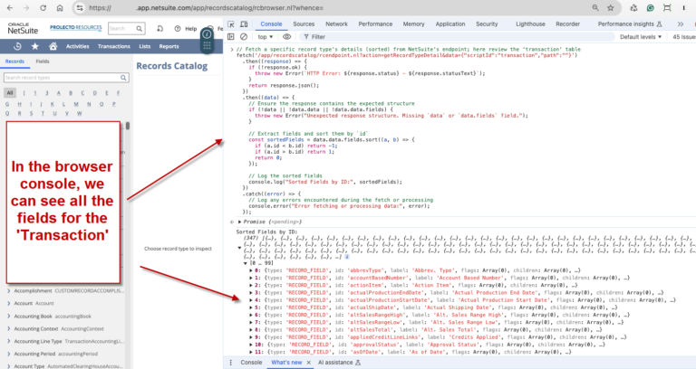 Gaining Programmatic Access to All of NetSuite’s Tables and Fields ...